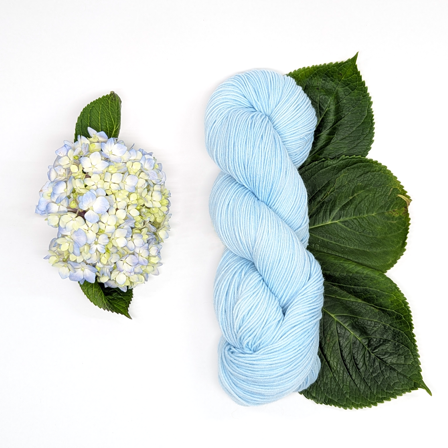 Hydrangea - Dye to Order