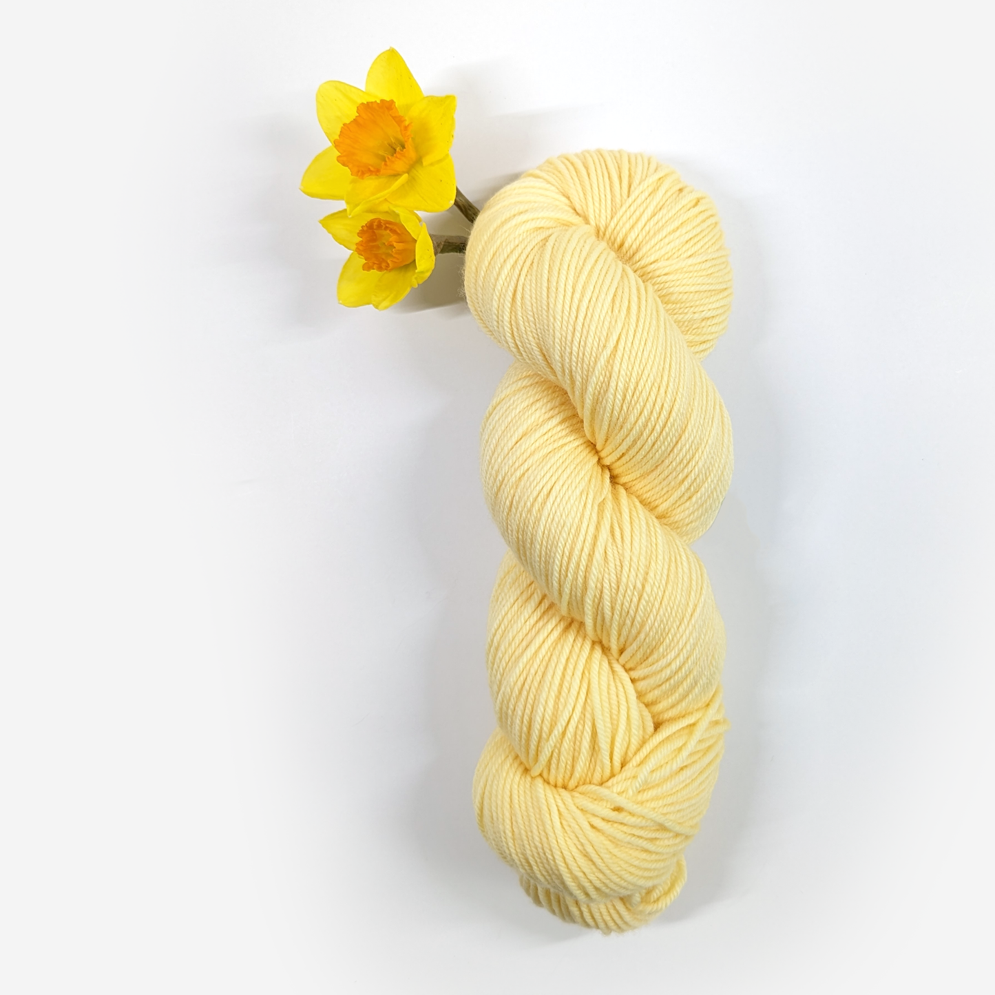 Daffodil - Dye to Order